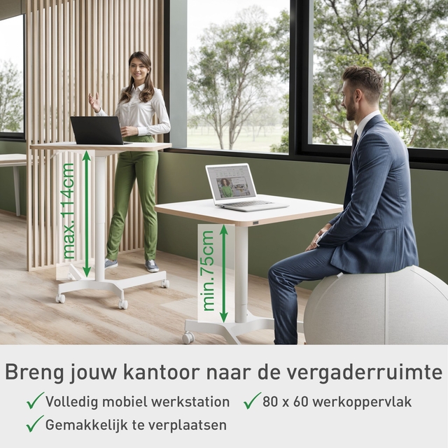 Zit-Sta bureau Leitz Ergo compact