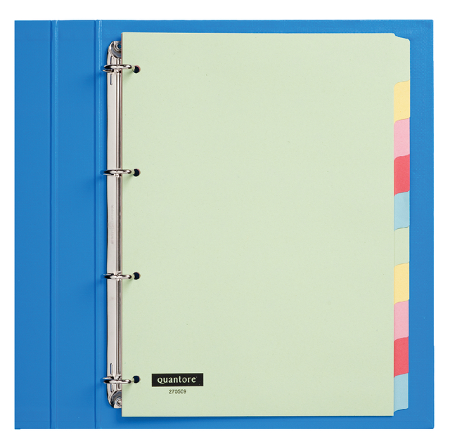 Tabbladen Quantore 4-gaats 10-delig assorti karton Tabbladen Quantore 4-gaats 10-delig assorti karton