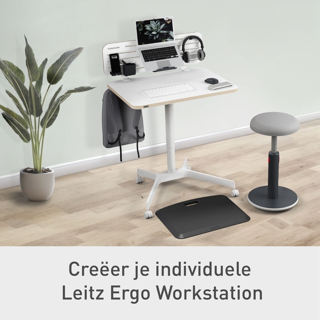 Zit-Sta bureau Leitz Ergo compact