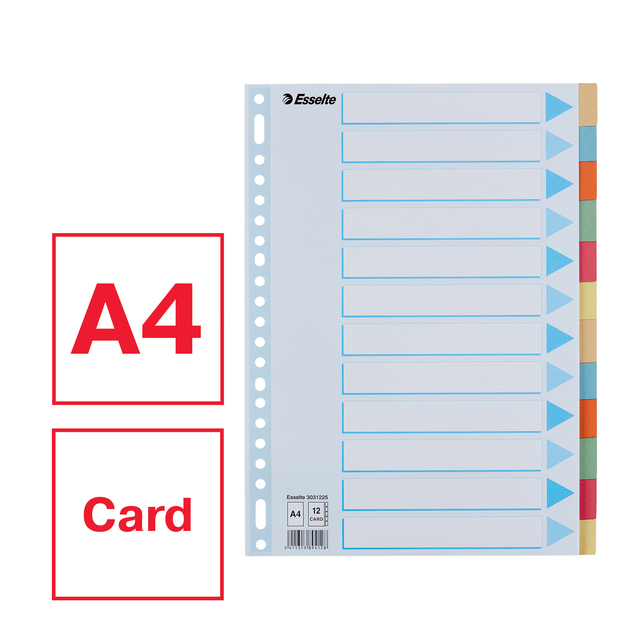 Tabbladen Esselte Premium A4 12-delig karton 23-rings assorti
