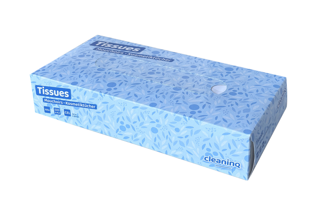 Facial tissues Cleaninq 2-laags 100stuks
