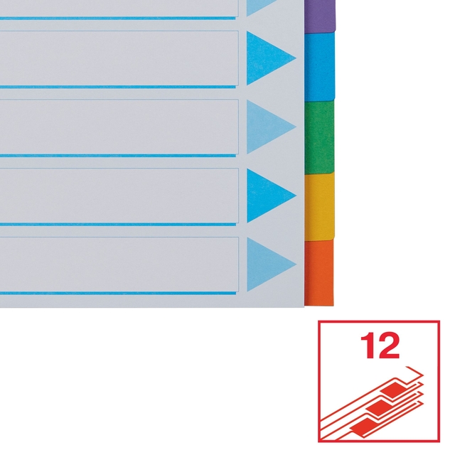 Tabbladen Esselte Standaard A4 12-delig karton 11-rings met voorblad assorti