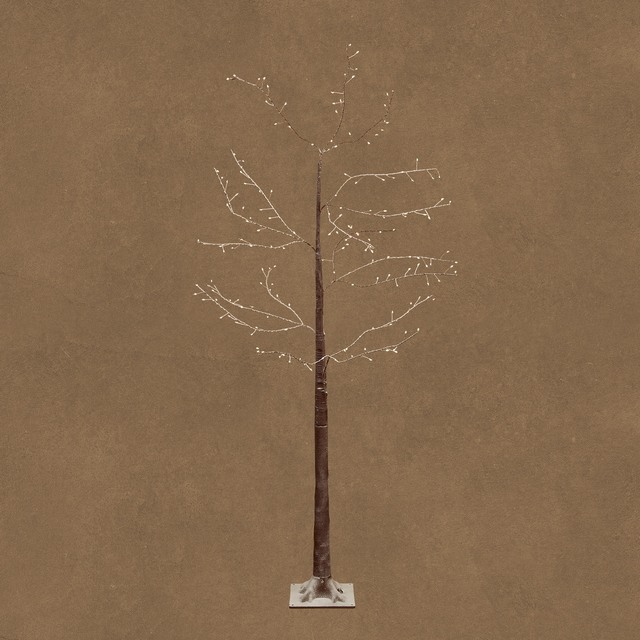 boom, boom height?, tree, sleigh, bare tree