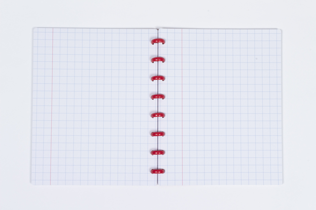 notebook, grafiepapier, spiral binding, rode ringen, geruite pagina