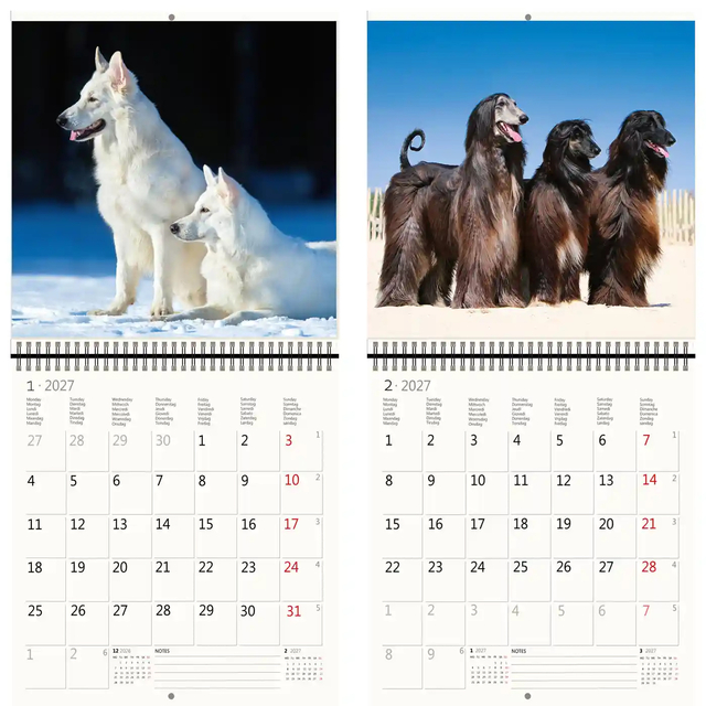 Kalender 2027 Helma 365 30x30cm honden