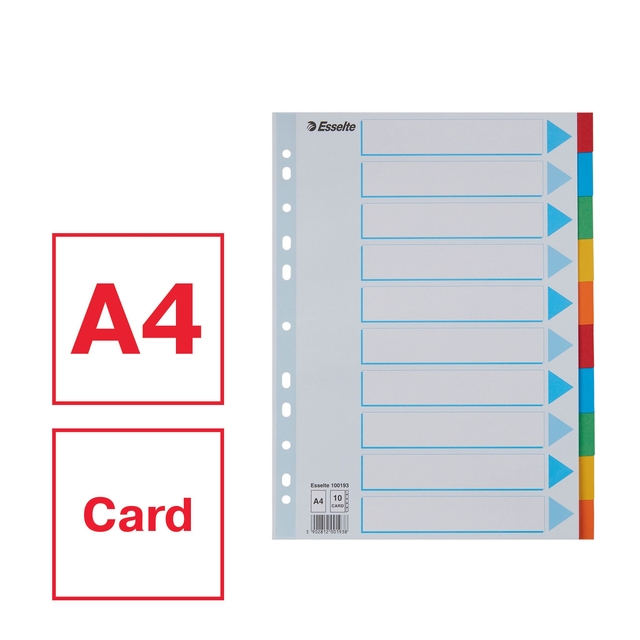 Tabbladen Esselte Standaard A4 10-delig karton 11-rings met voorblad assorti