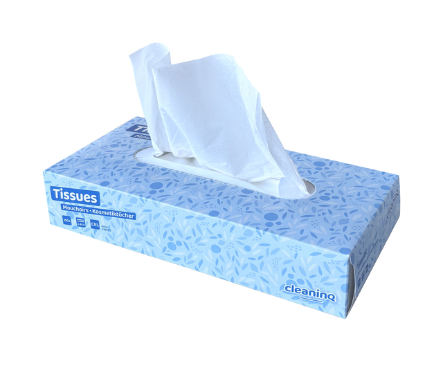 Facial tissues Cleaninq 2-laags 100stuks