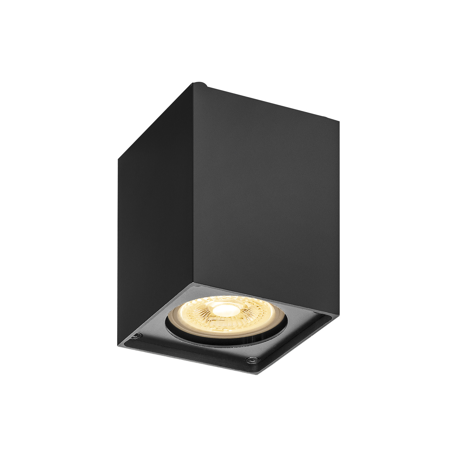 ALTRA DICE plafondlamp zwart 1xGU10
