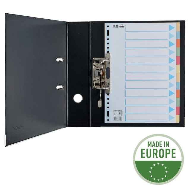 Tabbladen Esselte Premium A4 12-delig karton 23-rings assorti