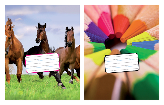 Schrift Kangaro 165x210mm schoonschrijven 72 pagina's 80gr Schrift Kangaro 165x210mm schoonschrijven 72 pagina's 80gr