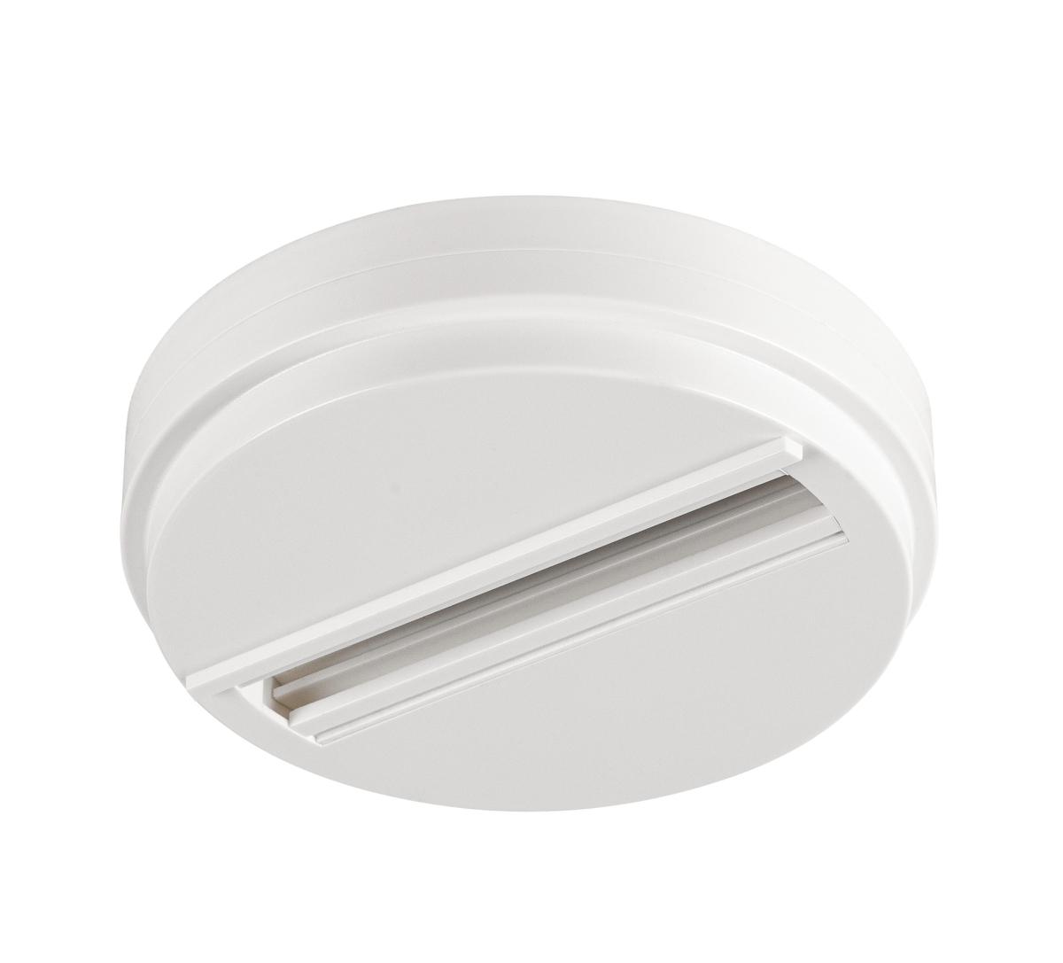 draaisluiting, recessed plafondplaat, kleur: wit, verstelbaar/afstapbaar, plaatmontage