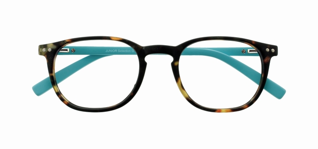 damesbril, blik, tortoise patroon, blauw armen, kleuren combinatie