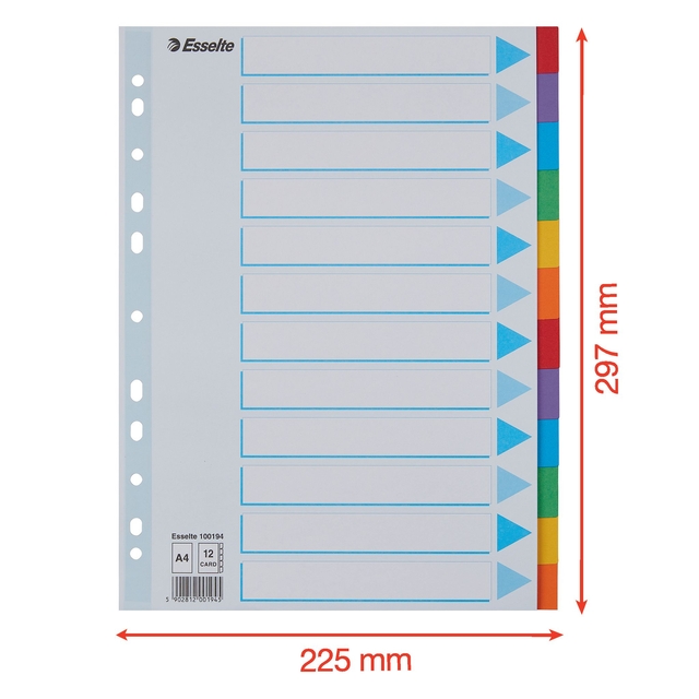 Tabbladen Esselte Standaard A4 12-delig karton 11-rings met voorblad assorti