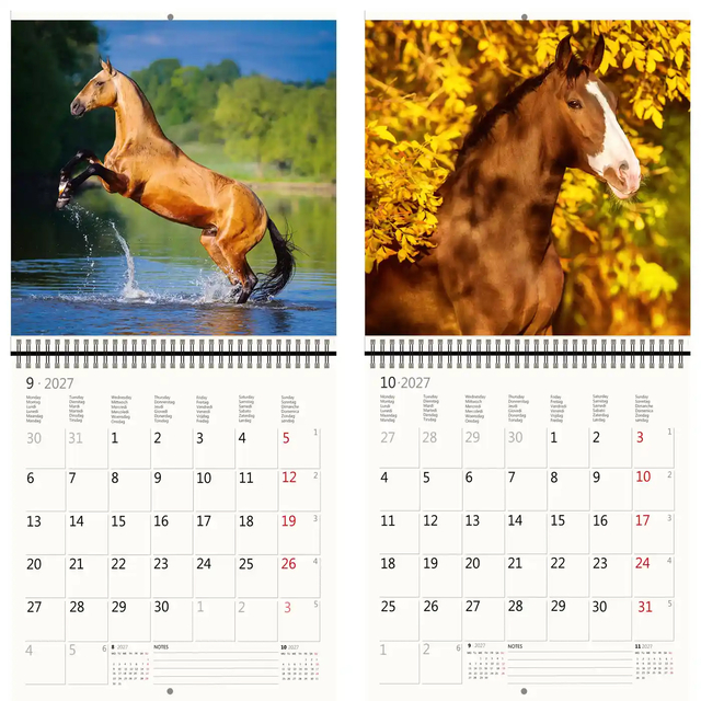 Kalender 2027 Helma 365 30x30cm paarden