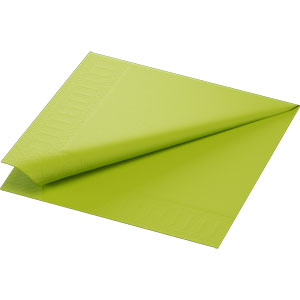 Duni Servet 40x40cm 1_4 vouw 2 lgs Kiwi doos 10x125 stuks