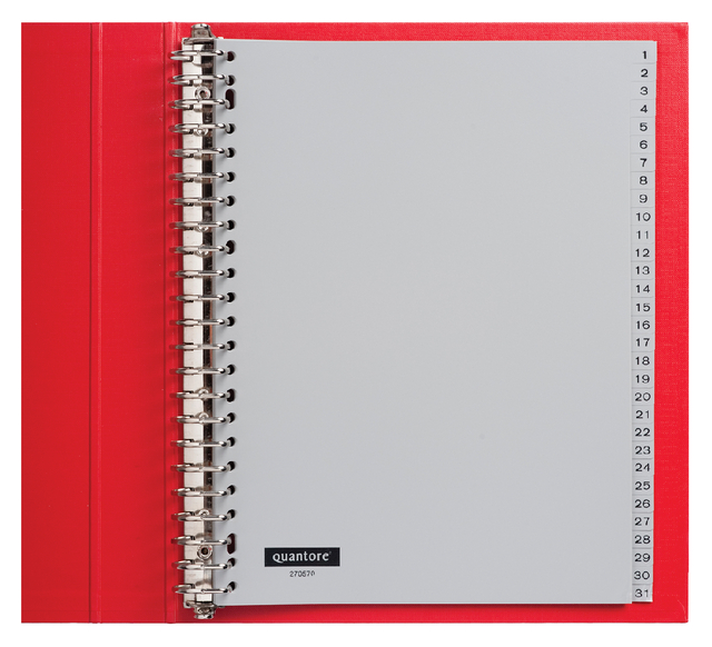 Tabbladen Quantore 23-gaats 1-31 genummerd grijs PP Tabbladen Quantore 23-gaats 1-31 genummerd grijs PP