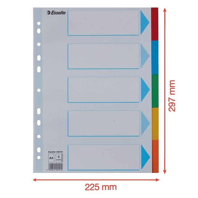 Tabbladen Esselte Standaard A4 5-delig karton 11-rings met voorblad assorti