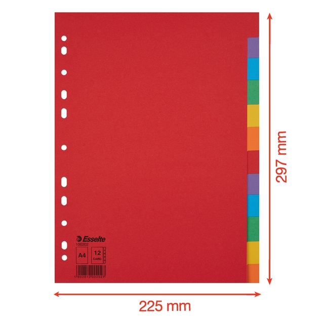 Tabbladen Esselte Economy A4 12-delig karton 11-rings assorti