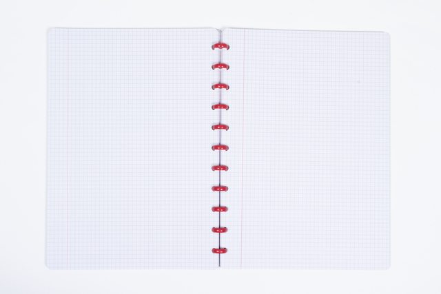 notitieblok, spiral binding, gridpapier, open notitieblok, rode rand