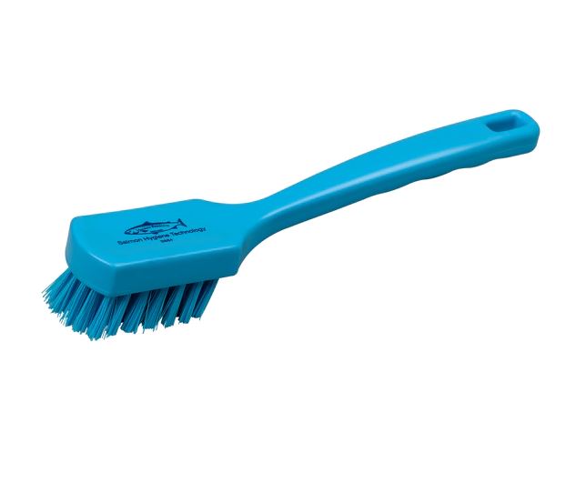 Salmon Hillbrush D9 Borstel met lange greep blauw per stuk