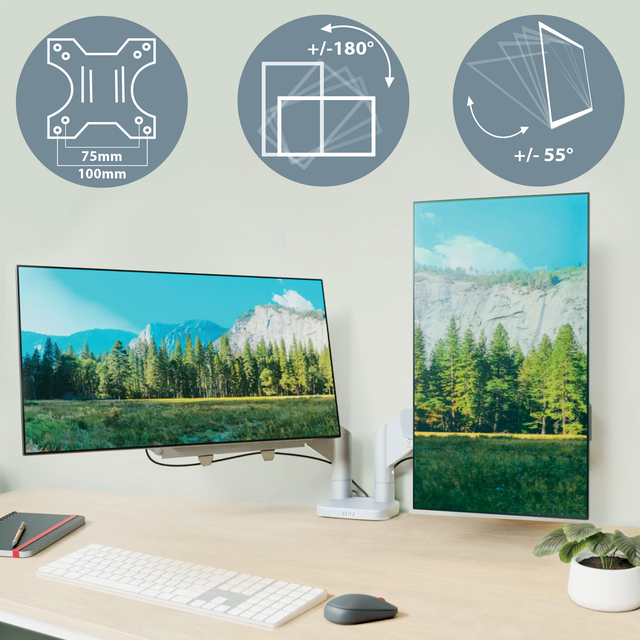 monitor, dual monitor, desk setup, landscape display, ergonomic setup