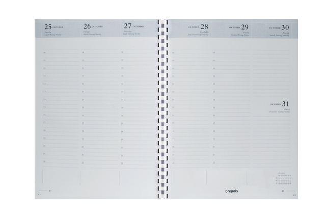 planner, weekly planner, ring binder, calendar, notebook