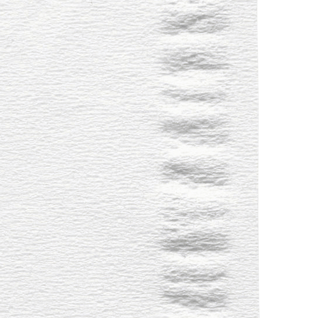 Facial tissues Satino 2-laags 100 vel wit 206450