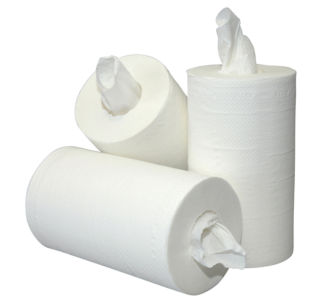 Poetspapier mini 2l 60m wit Poetspapier mini 2l 60m wit