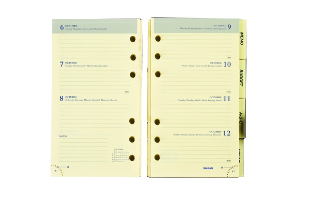 agenda, planner, ring binder, daily planner, datebook