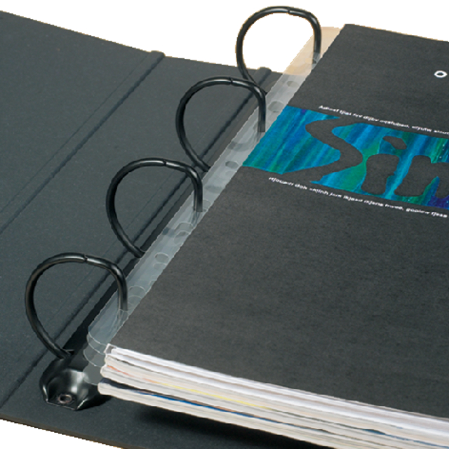 Opbergstrip Djois filstrip A4 295mm 2/4rings transparant 50 stuks Opbergstrip Djois filstrip A4 295mm 2/4rings transparant 50 stuks