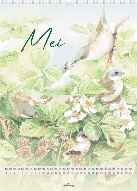 eend, vogels, natuur, planten, kalendar