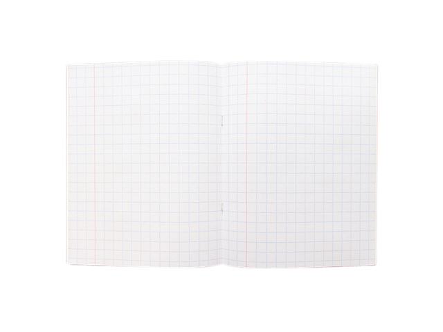 notebook, grid pattern, ruled notebook, white pages, two-page view