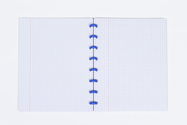 notebook, spiral-bound, grid paper, blue rings, open notebook