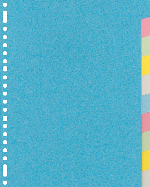 Tabbladen Kangaro 23-gaats RY410M 10-delig assorti karton Tabbladen Kangaro 23-gaats RY410M 10-delig assorti karton