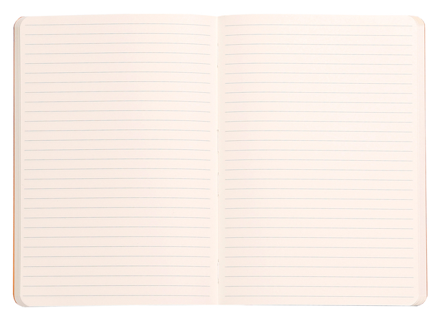 Notitieboek Rhodia A6 lijn 72 vel 90gr zwart
