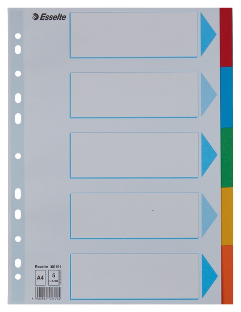 Tabbladen Esselte Standaard A4 5-delig karton 11-rings met voorblad assorti