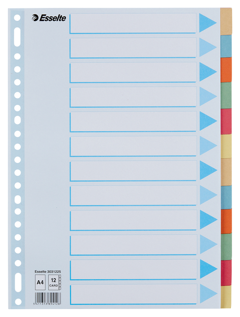 Tabbladen Esselte Premium A4 12-delig karton 23-rings assorti Tabbladen Esselte Premium A4 12-delig karton 23-rings assorti